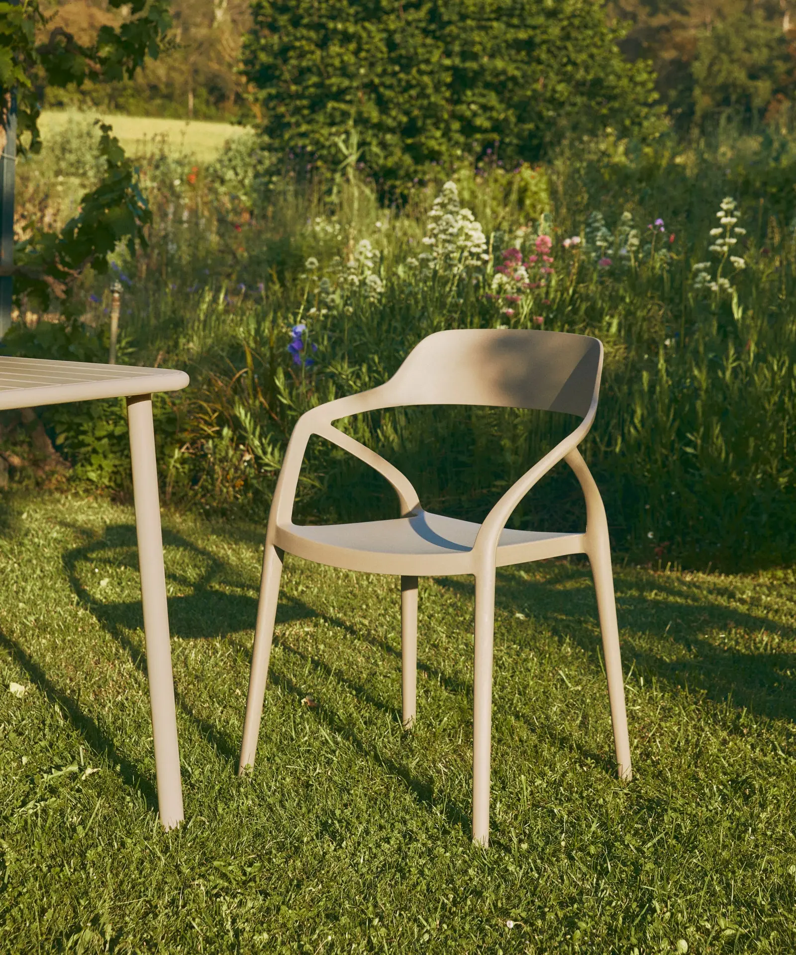 Imagen del producto 36