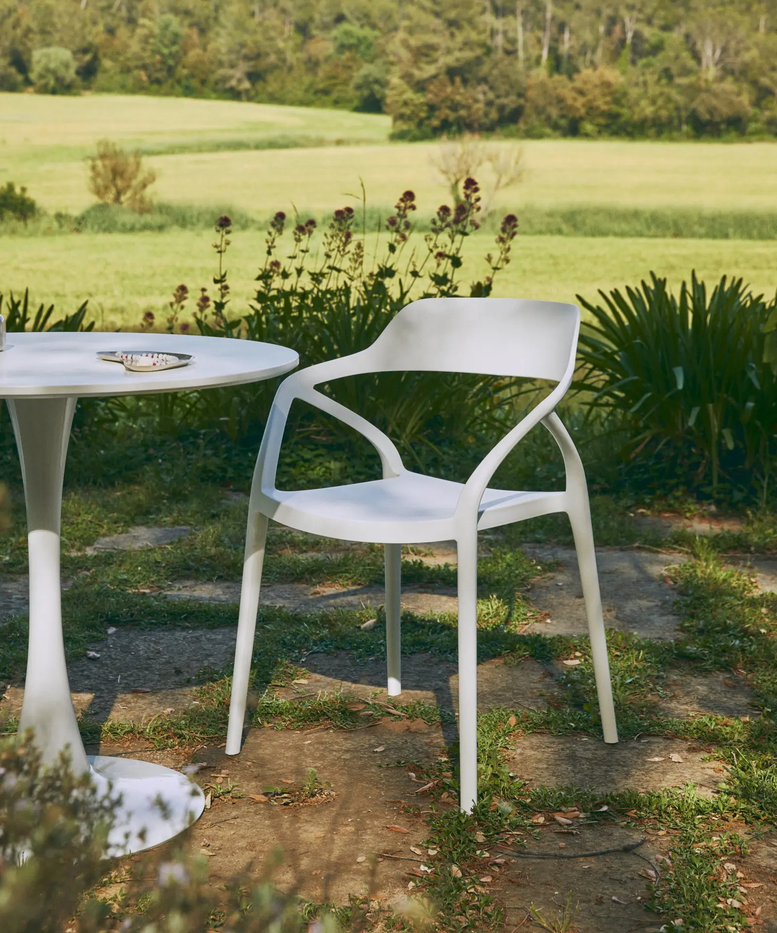 Imagen del producto 45