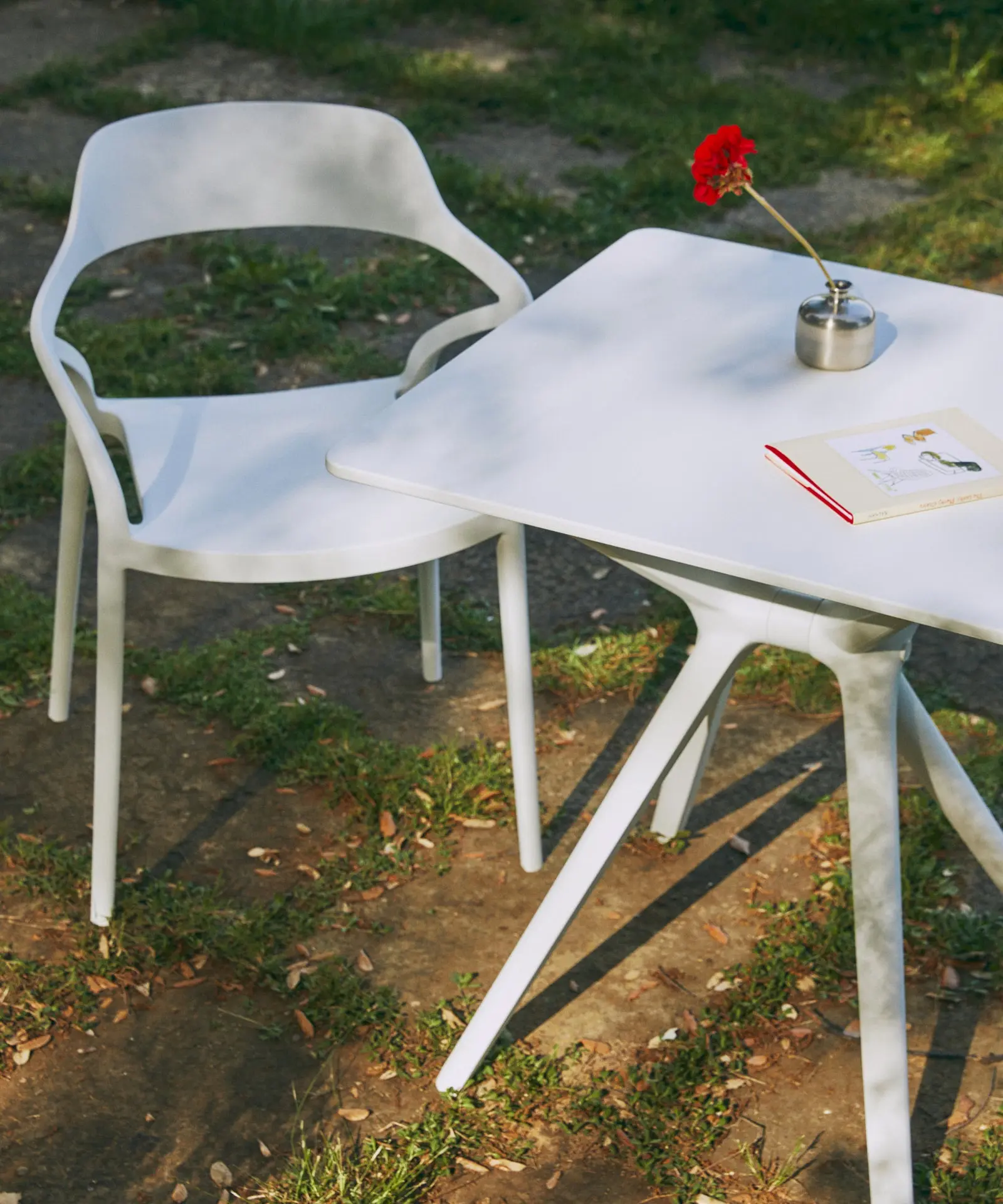 Imagen del producto 50