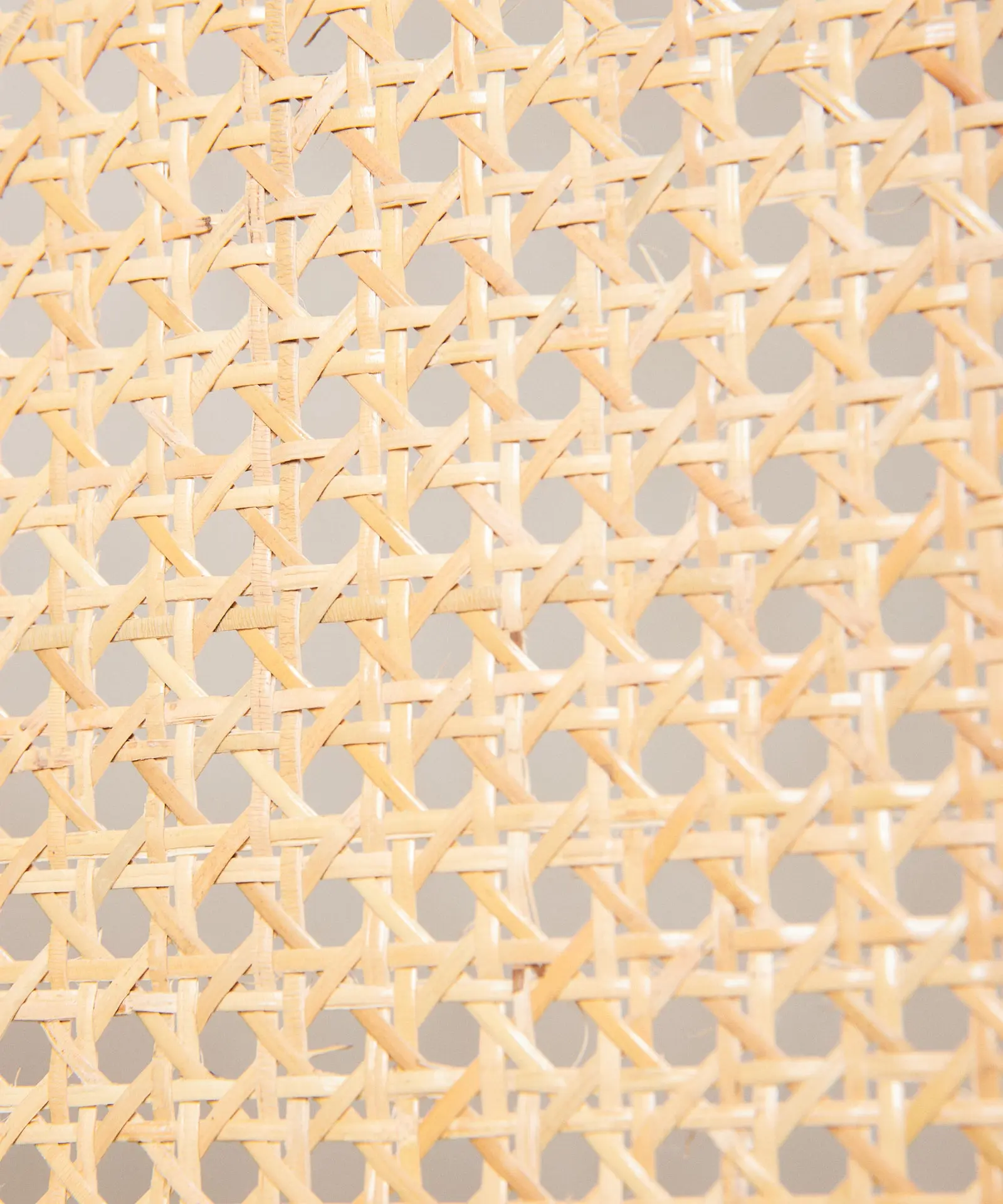 Imagen del producto 20