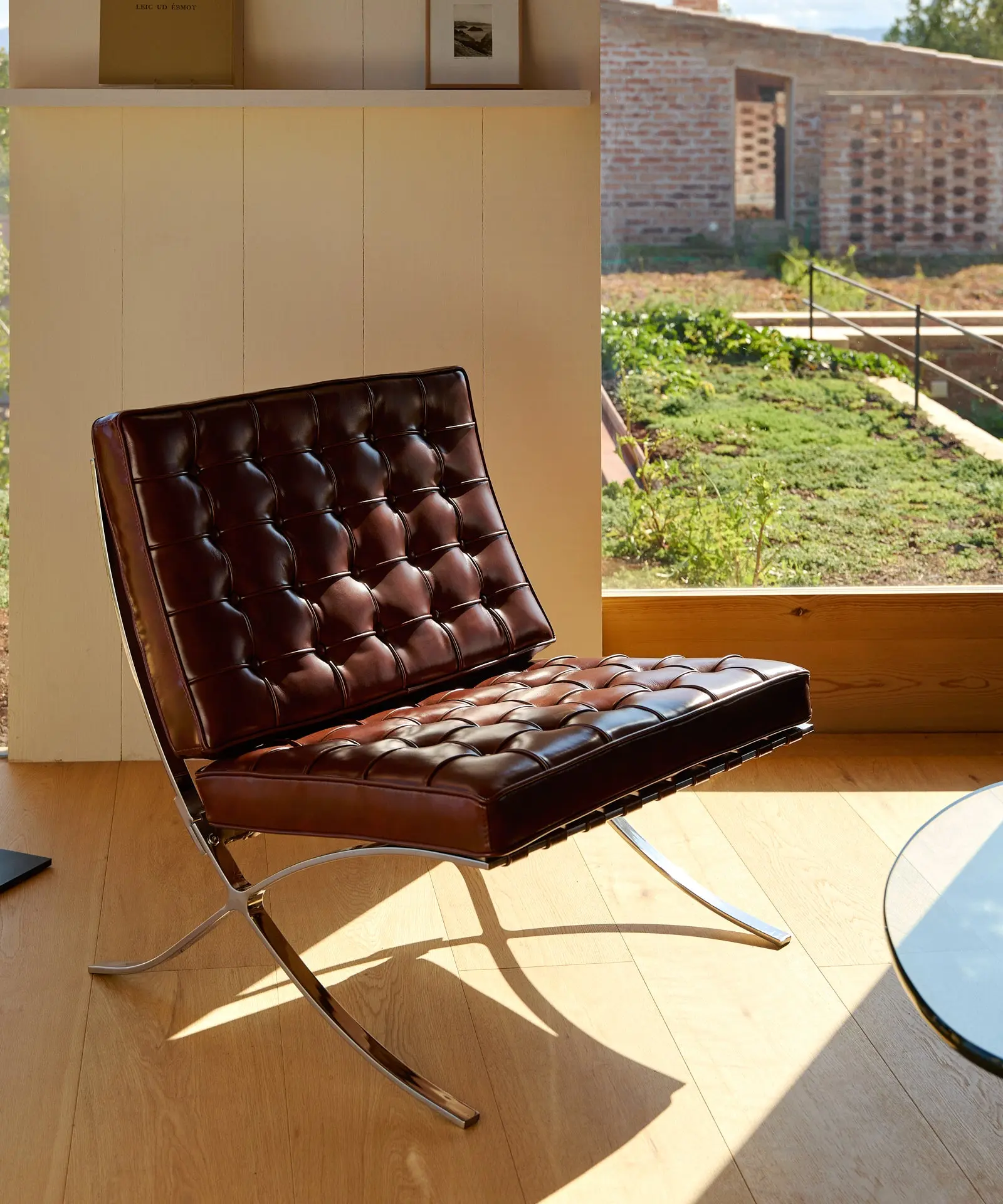 Imagen del producto 11