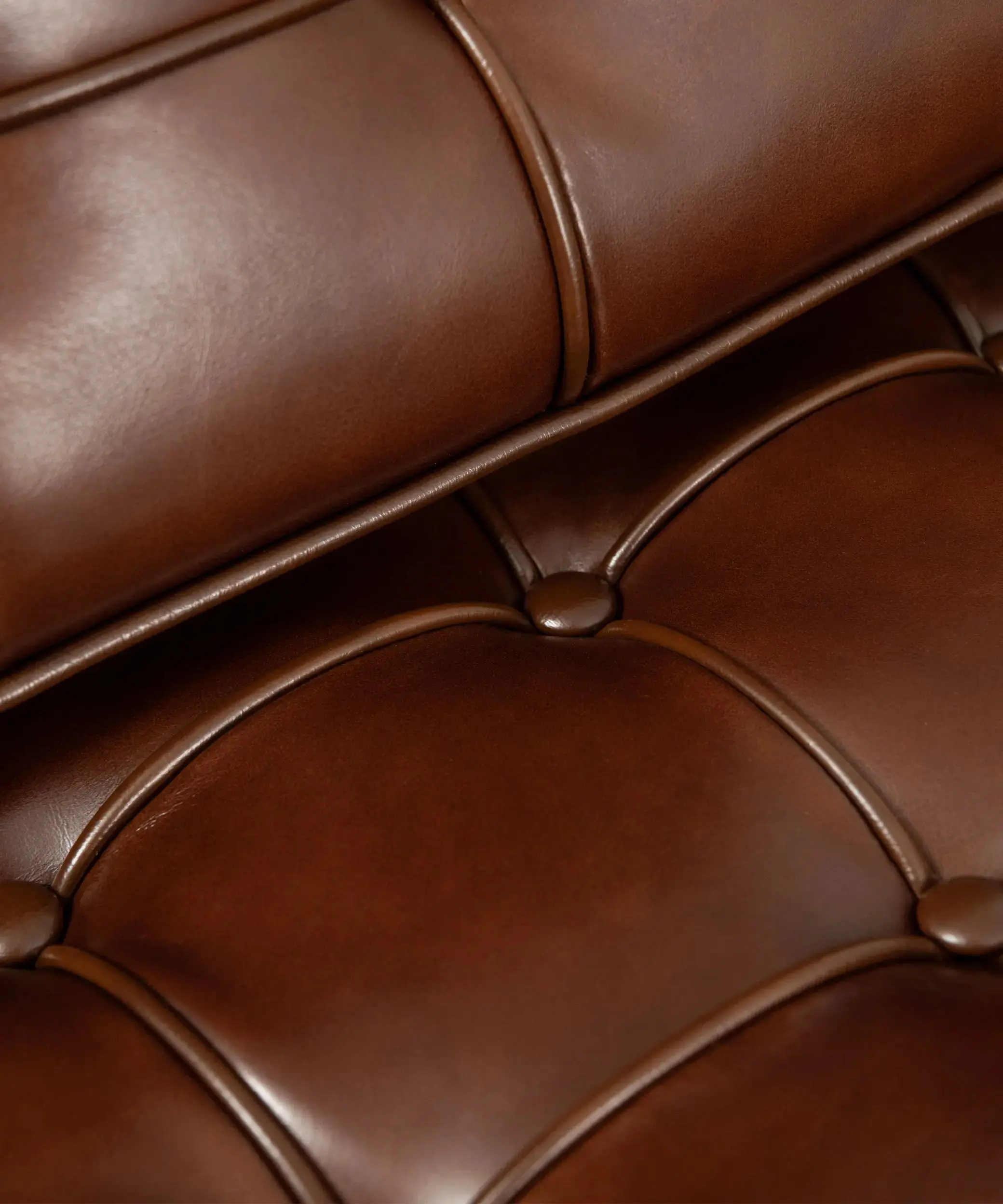 Imagen del producto 12